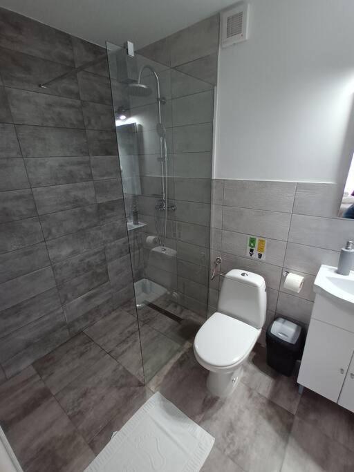 Old Town Studio 1 Apartment Nr 4 Baia Mare Bagian luar foto