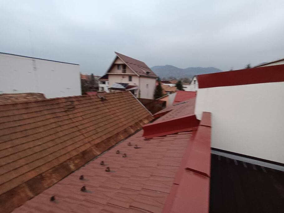Old Town Studio 1 Apartment Nr 4 Baia Mare Bagian luar foto