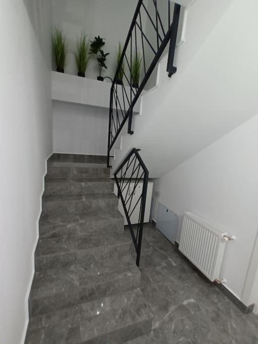 Old Town Studio 1 Apartment Nr 4 Baia Mare Bagian luar foto