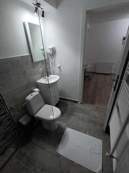 Old Town Studio 1 Apartment Nr 4 Baia Mare Bagian luar foto