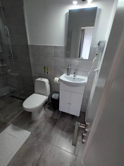 Old Town Studio 1 Apartment Nr 4 Baia Mare Bagian luar foto