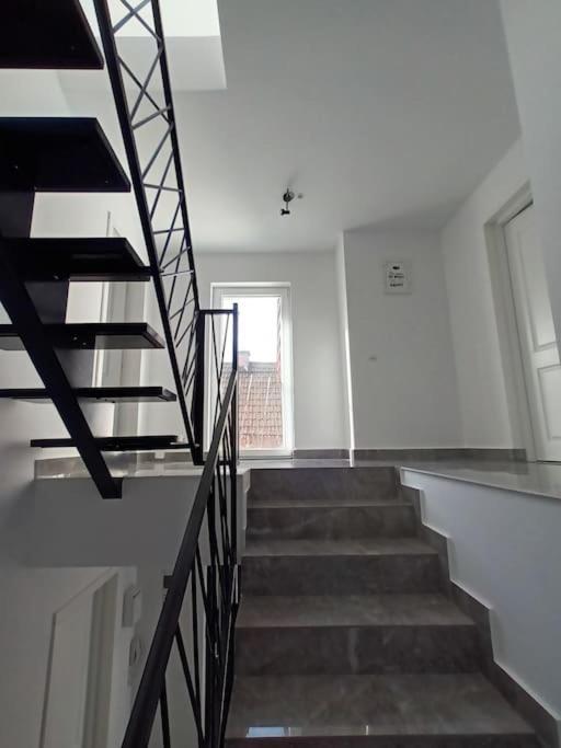 Old Town Studio 1 Apartment Nr 4 Baia Mare Bagian luar foto