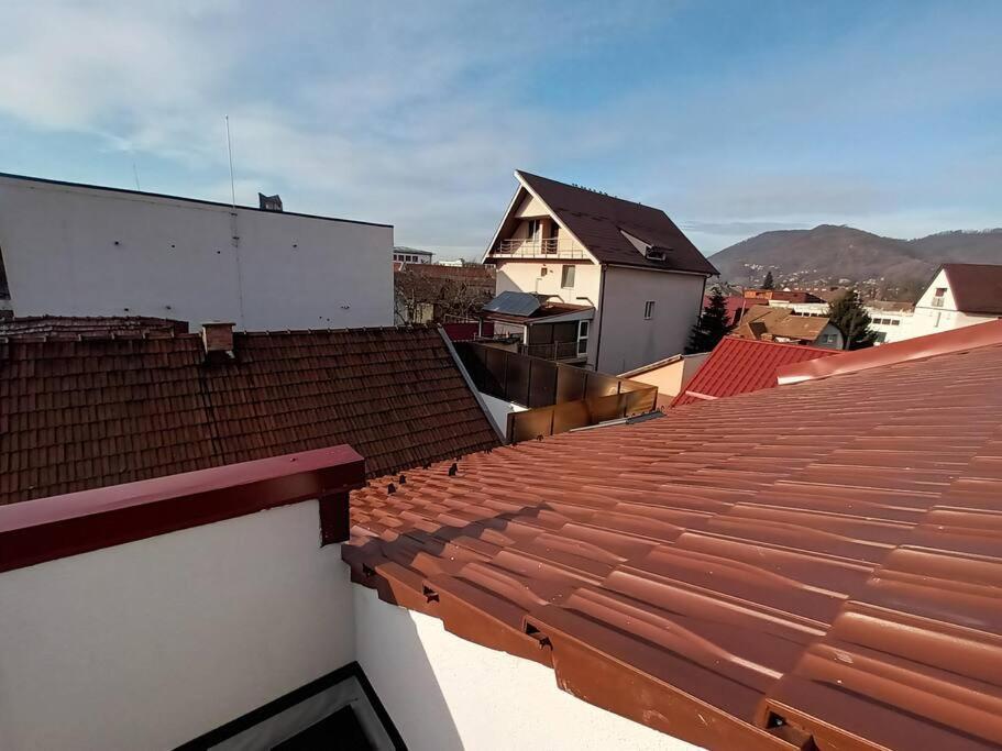 Old Town Studio 1 Apartment Nr 4 Baia Mare Bagian luar foto