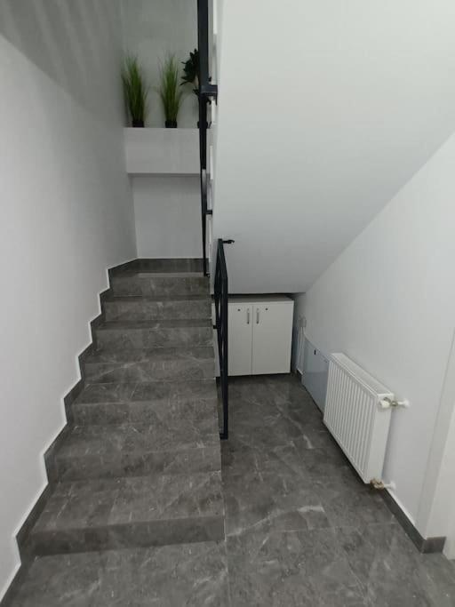 Old Town Studio 1 Apartment Nr 4 Baia Mare Bagian luar foto